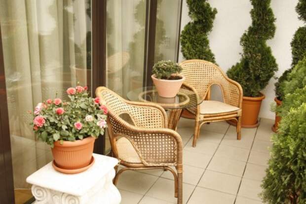 Комнатные растения и плетеная мебель создадут атмосферу загородного отдыха даже в городской квартире