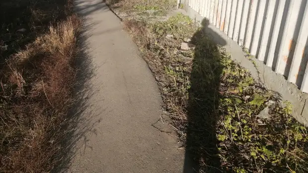 В Челябинске после драки с одноклассником умер 14-летний подросток