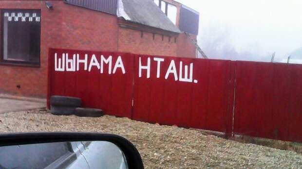 Фотоподборка