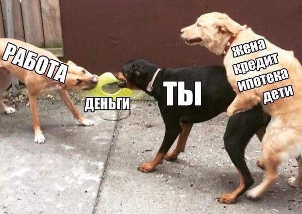Смешные картинки с надписями Смешные картинки с надписями демотиваторы, прикол, юмор
