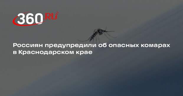 Ученый Лукашев: в Краснодарском крае обитают комары — переносчики лихорадки