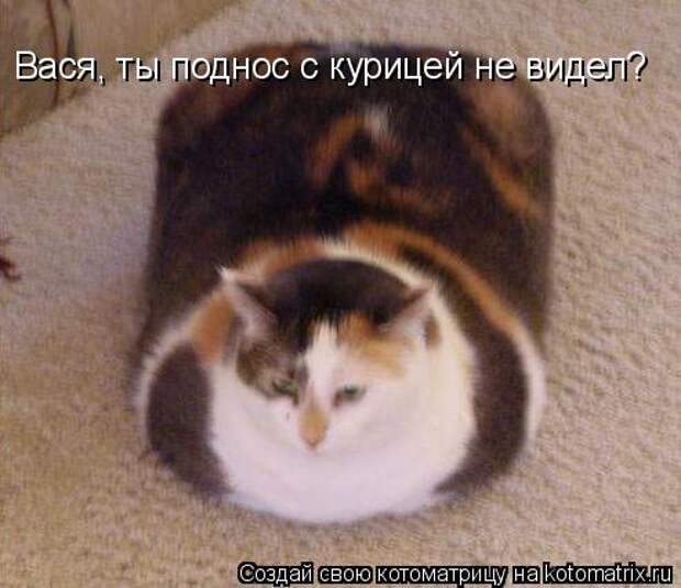 Котоматрица - Вася, ты поднос с курицей не видел?