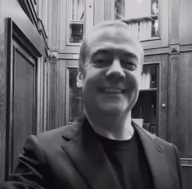 Медведев заявил о начале «своей игры» Залужного против Зеленского