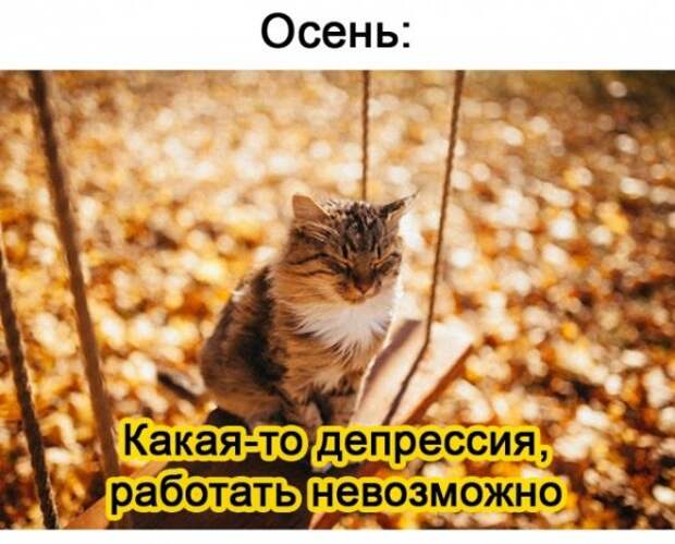 Так себе картинки
