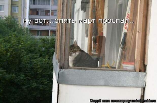 Мысли вслух :)