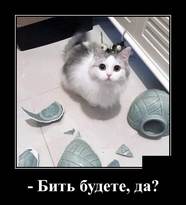 www.vsyako.net