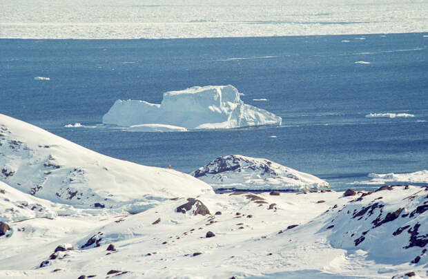 Раскрыта цель отправки советского судна в Гренландию
