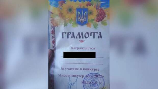 В детском саду Читы начали проверку после выдачи грамот с гербом Украины