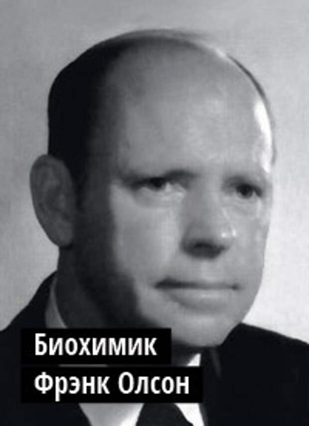 Куда приводят козлы Куда приводят козлы
