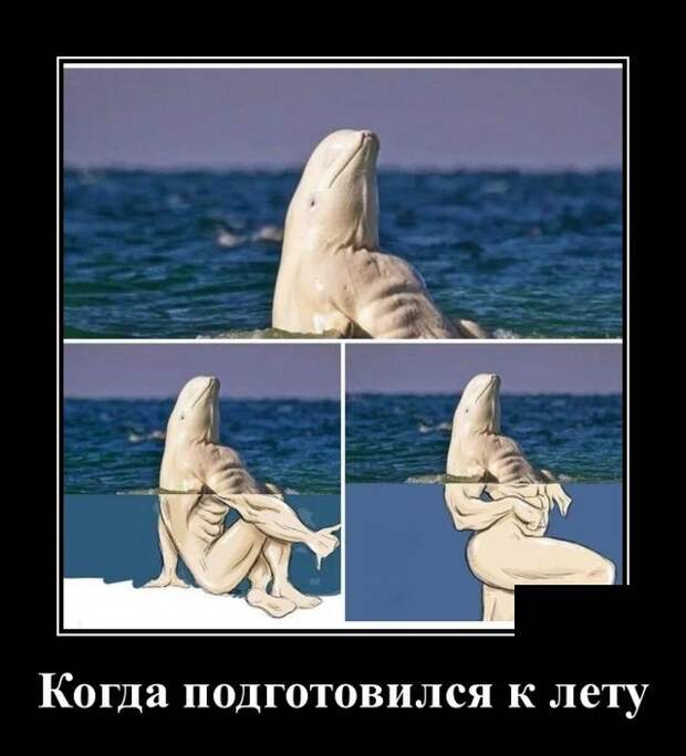 Демотиваторы (20 фото)