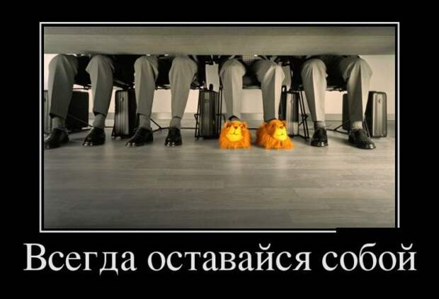 Демотиваторы (30 фото)