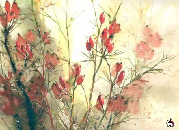       (Malgorzata Szczecinska)