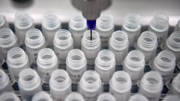 В Петербурге за сутки провели более 24 тысяч тестов на COVID-19