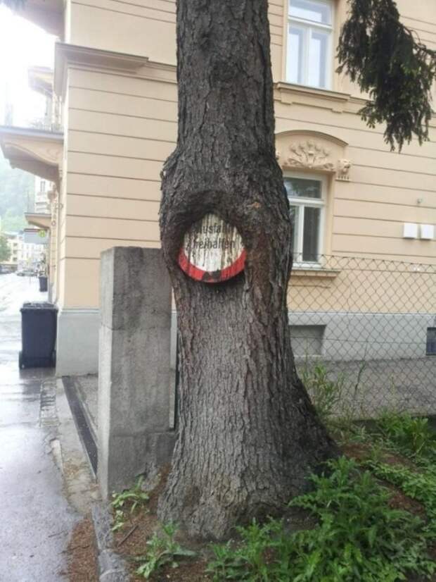 Беспощадность времени на фото