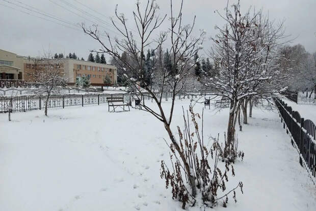 Районы Новосибирской области завалило снегом