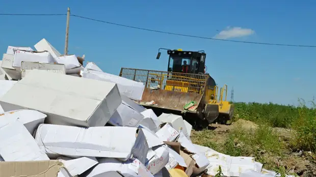 Правительство России продлило режим уничтожения санкционных товаров