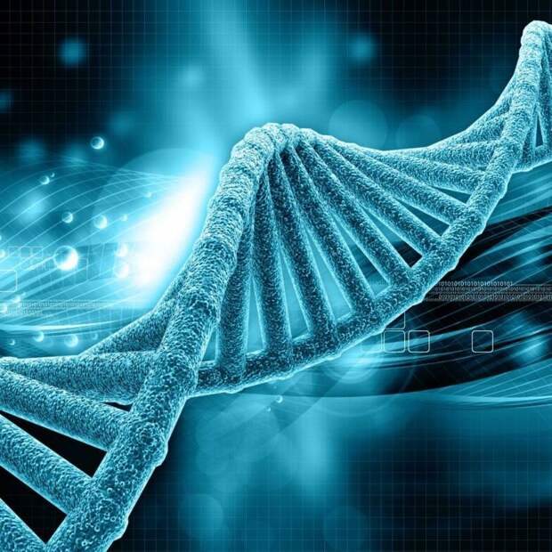 Что такое дистрофия? Виды, классификация, симптомы, лечение и причины