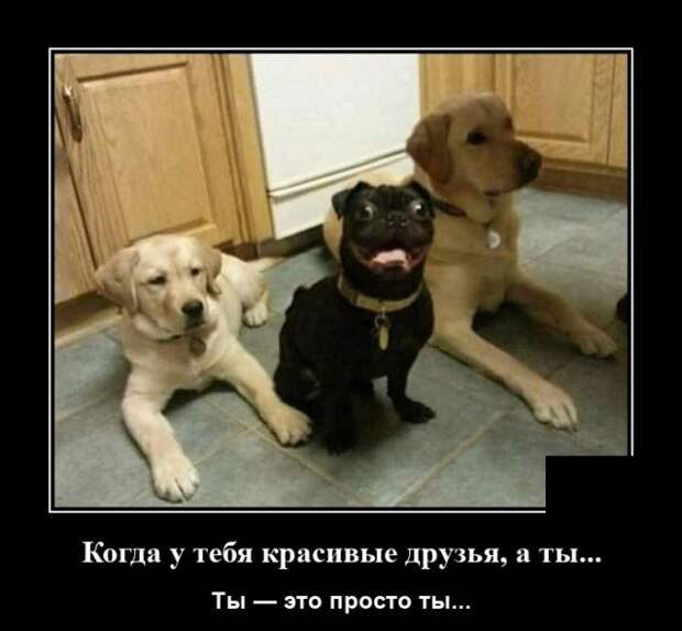 Демотиватор про друзей