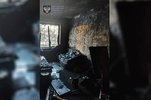 В Подмосковье во время пожара не выжила годовалая девочка