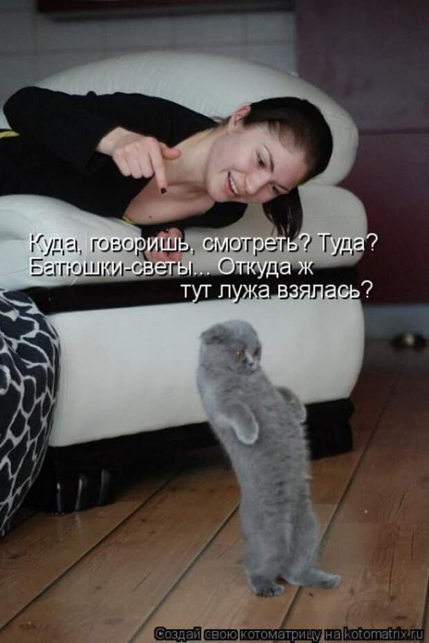 Котоматрицы