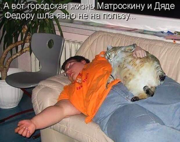 4d62cc1f0b44757381ae93da62c_prev