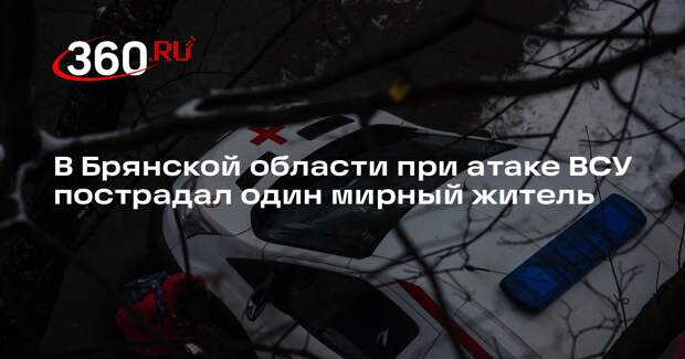 В Брянской области при атаке ВСУ пострадал один мирный житель