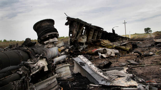 Виновника гибели MH17 «помогли» найти соцсети