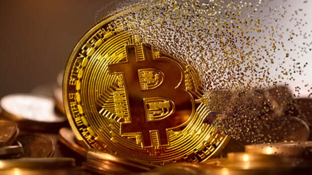 Братья-бизнесмены исчезли с биткоинами на $2,3 млрд