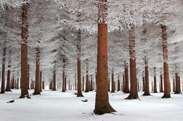gorgeous-winter-landscapes-7.jpg