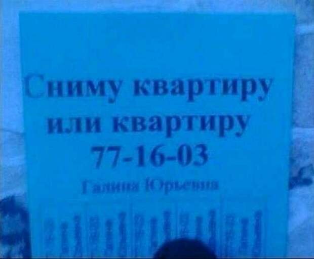 Забавные надписи и объявления