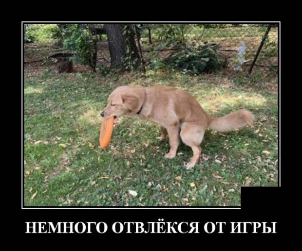 Демотиваторы (20 фото)