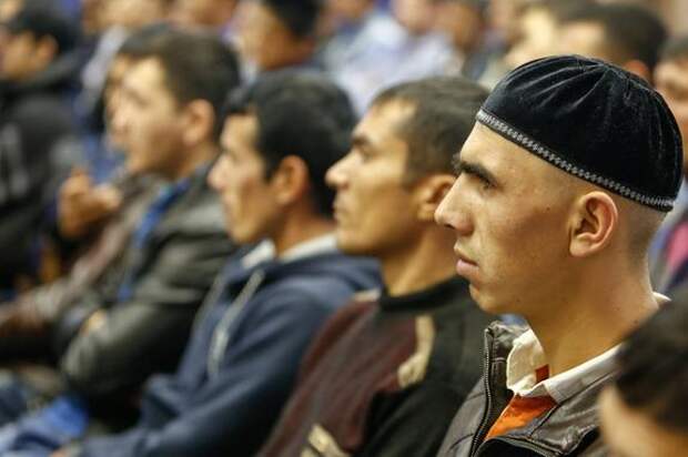 В Курортном районе Петербурга задержали организаторов нелегальной миграции