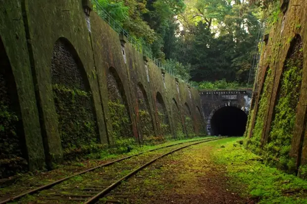 Все заросло зеленью. Все заросло зеленью.