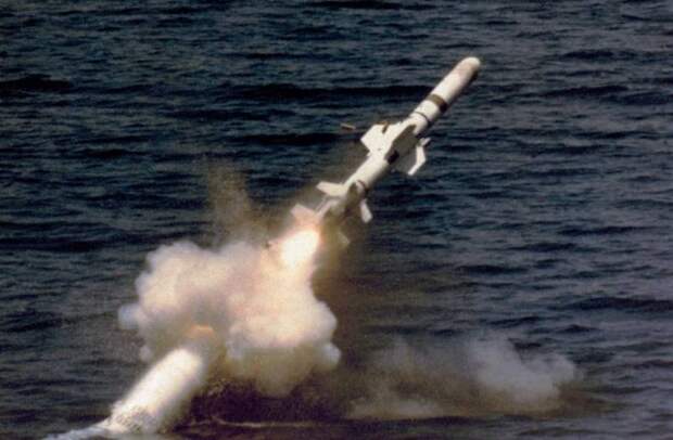 Пентагон: Ракеты «Гарпун» заставили российские войска покинуть остров Змеиный