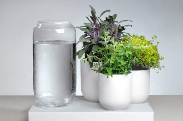 Сгруппируйте растения и расставьте вокруг них емкости, наполненные водой / Фото: i.pinimg.com