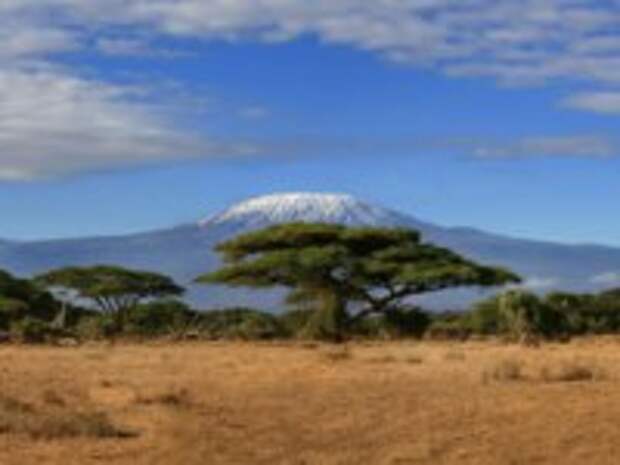 Клуб путешествий Павла Аксенова. Танзания. Kilimanjaro Mountain Africa. Фото p.hampton@btopenworld.com - Depositphotos