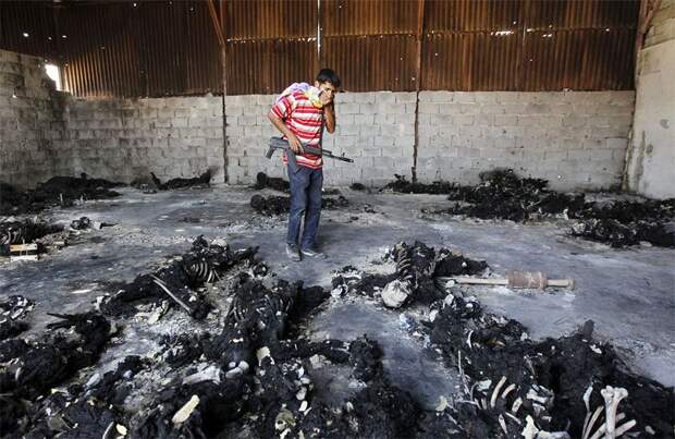 Лучшие снимки Reuters 2011. Часть 2. (22 фото)