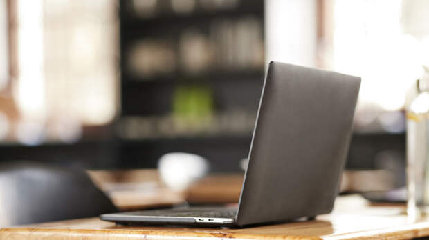 Депутат Панеш рассказал о вариантах удалённой работы для пенсионеров