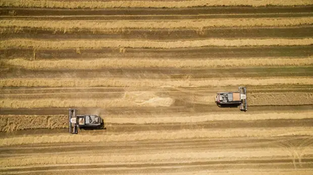 В Солнечногорске стартовал форум «Мой агробизнес и господдержка. Сделаем вместе»