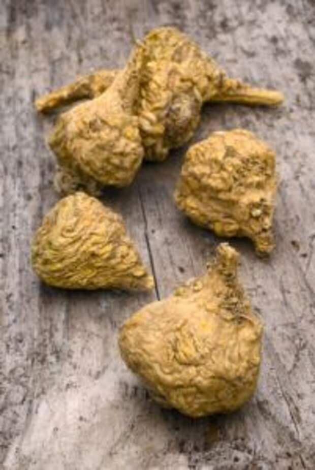 корень маки