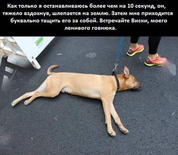 Прикольные картинки Прикольные картинки