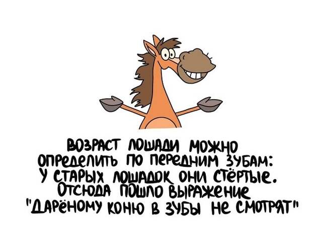 Любопытные коротенькие факты на все случаи жизни