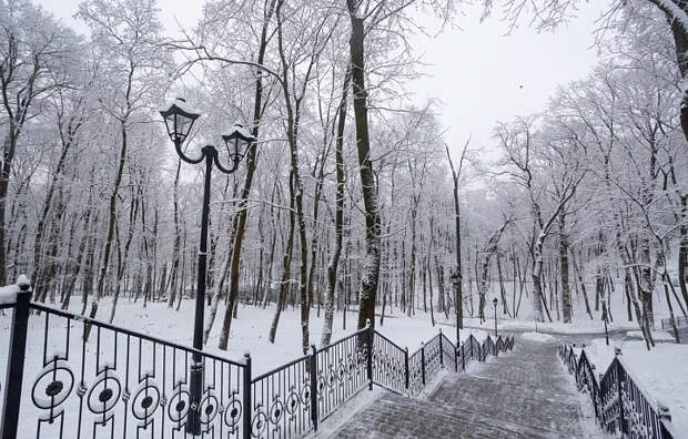 20-градусные морозы обрушатся на Тульскую область 17 февраля