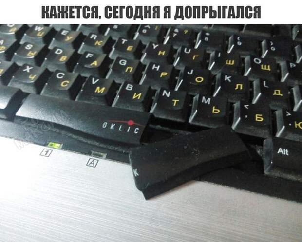 Прикольные картинки 24.08.17