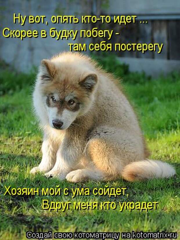 Новые крутые котоматрицы первой недели октября (50 фото) Новые крутые котоматрицы первой недели октября (50 фото)