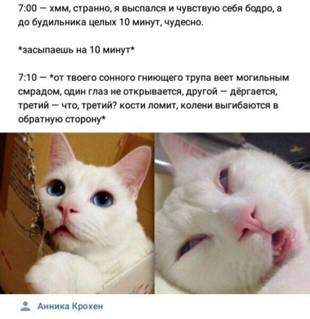 И так каждое утро. И так каждое утро.