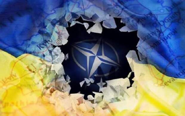 США могут предложить Украине «израильскую модель» вместо членства в НАТО | Русская весна