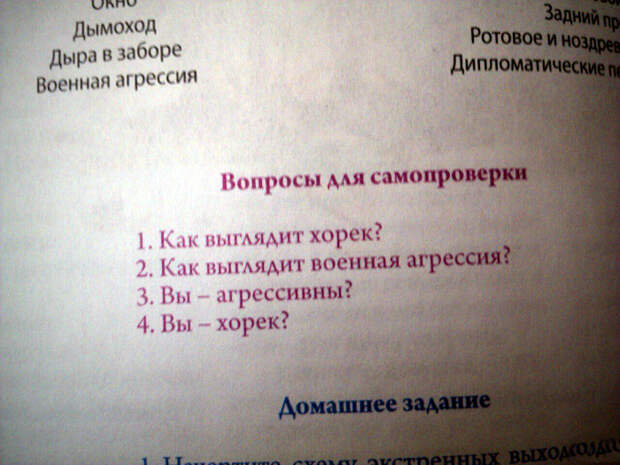 Не в бровь, а в глаз! | Фото: fishki.net. Не в бровь, а в глаз! | Фото: fishki.net.