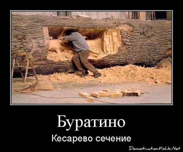 Похожее изображение