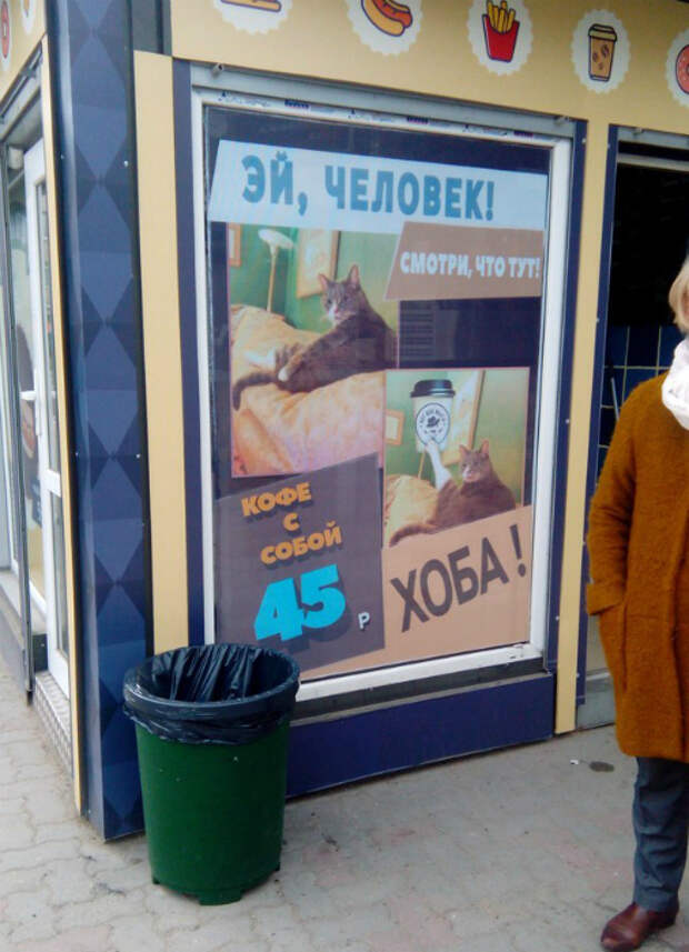 Кот рекомендует. Кот рекомендует.